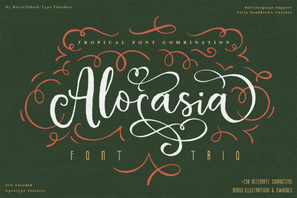 Alocasia Font: Elevate Your Brand Identity