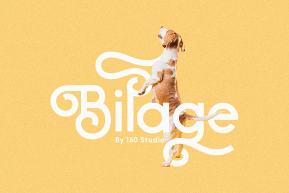Bilage: A Handwritten Font for Editorial Warmth