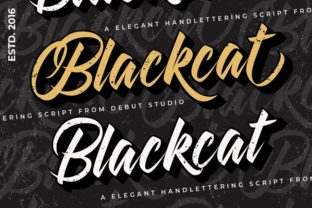 Blackcat Font: A Vintage Script for Small Business Branding