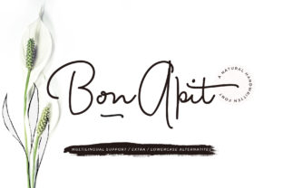 Bon Apit: The Script Font That Elevates Campaigns