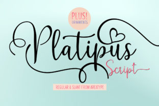 Platipus: A Playful Script Font for Web Design